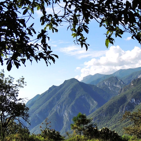 Acampar en el Parque Chipinque –  NUEVO LEON, AVENTURA Y ECOTURISMO